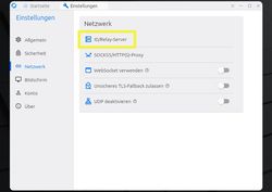 Ansicht Netzwerk Einstellunge "ID/Relay-Server" gelb umrandet