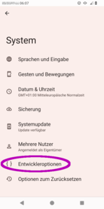 Ansicht System mit Menüpunkt Entwickleroptionen