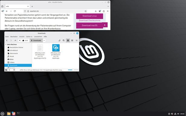 Ansicht Desktop mit 2 Dateien im Download-Ordner