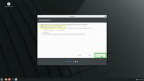 Ansicht Installations-Assistent Installationsart