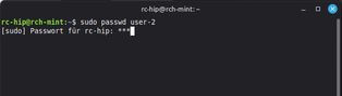Ansicht Terminal Nutzung Command "passwd"