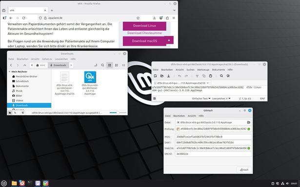 Ansicht Desktop mit 2 grünen Punkten beim Prüfergebnis